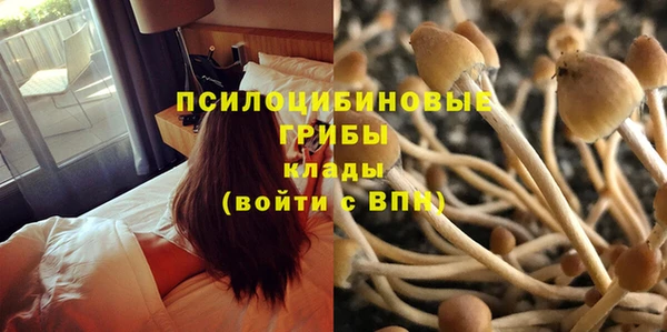 a pvp Алексин