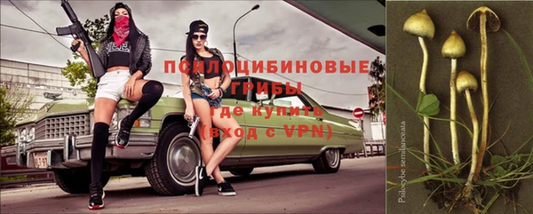 а пвп мука Алзамай